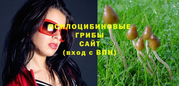 apvp Белокуриха