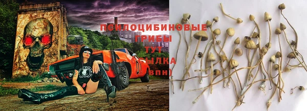 ПСИЛОЦИБИНОВЫЕ ГРИБЫ Белоозёрский
