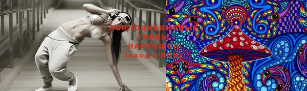 apvp Белокуриха