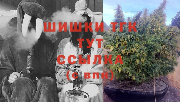 ПСИЛОЦИБИНОВЫЕ ГРИБЫ Белоозёрский